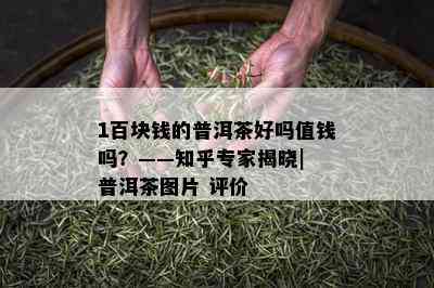 1百块钱的普洱茶好吗值钱吗？——知乎专家揭晓| 普洱茶图片 评价