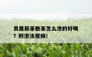 贡眉新茶散茶怎么泡的好喝？附泡法视频！