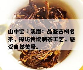 山中宝磻溪眉：品鉴古树名茶，探访传统制茶工艺，感受自然美景。