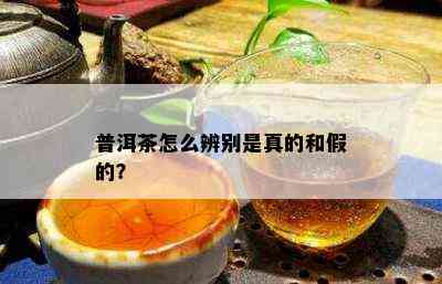 普洱茶怎么辨别是真的和假的？