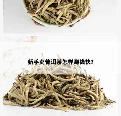 新手卖普洱茶怎样赚钱快？