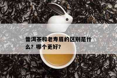 普洱茶和老寿眉的区别是什么？哪个更好？