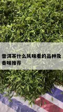 普洱茶什么风味看的品种及香味推荐