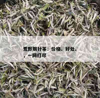 荒野银针茶：价格、好处、，一网打尽