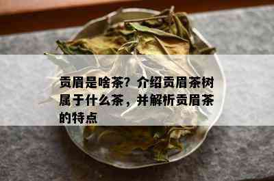 贡眉是啥茶？介绍贡眉茶树属于什么茶，并解析贡眉茶的特点