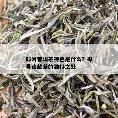 郎河普洱茶特色是什么？探寻这款茶的独特之处