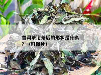 普洱茶泡茶后的形状是什么？（附图片）