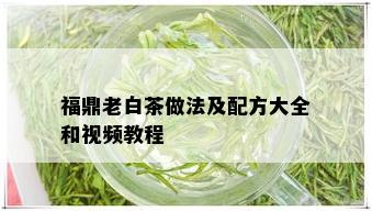 福鼎老白茶做法及配方大全和视频教程