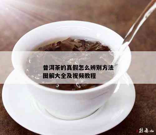 普洱茶的真假怎么辨别方法图解大全及视频教程