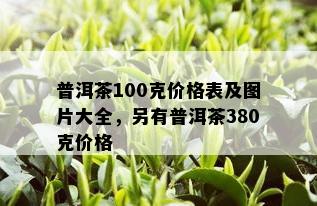 普洱茶100克价格表及图片大全，另有普洱茶380克价格