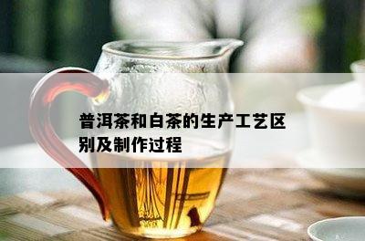 普洱茶和白茶的生产工艺区别及制作过程