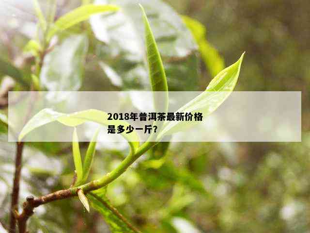 2018年普洱茶最新价格是多少一斤？