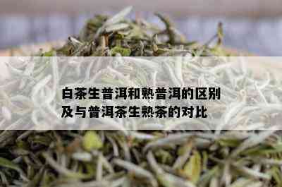 白茶生普洱和熟普洱的区别及与普洱茶生熟茶的对比