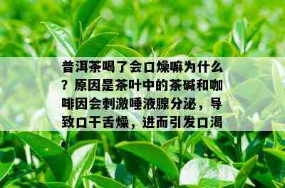 普洱茶喝了会口燥嘛为什么？原因是茶叶中的茶碱和 *** 会 *** 唾液腺分泌，导致口干舌燥，进而引发口渴。