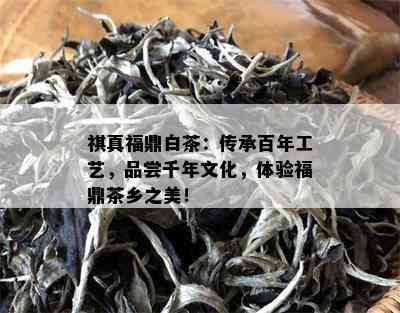 祺真福鼎白茶：传承百年工艺，品尝千年文化，体验福鼎茶乡之美！