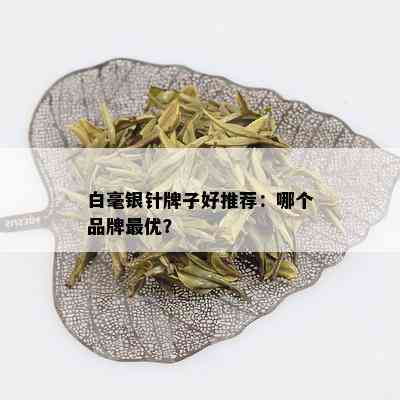 白毫银针牌子好推荐：哪个品牌更优？