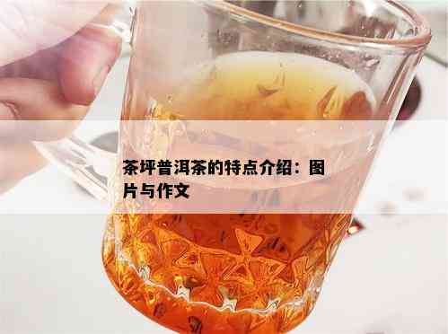 茶坪普洱茶的特点介绍：图片与作文