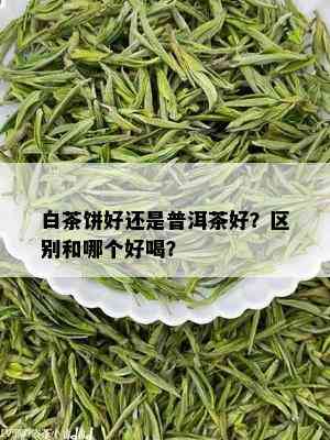 白茶饼好还是普洱茶好？区别和哪个好喝？