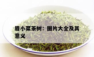 眉小菜茶树：图片大全及其意义