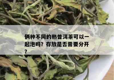 俩种不同的熟普洱茶可以一起泡吗？存放是否需要分开？