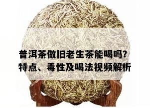 普洱茶做旧老生茶能喝吗？特点、性及喝法视频解析