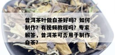 普洱茶叶做白茶好吗？如何制作？有视频教程吗？专家解答，普洱茶可否用于制作白茶？