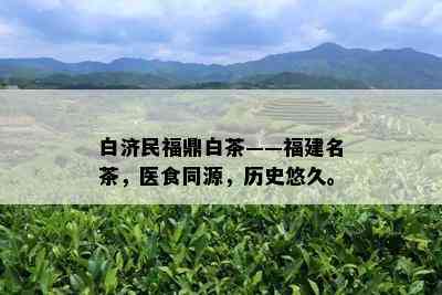 白济民福鼎白茶——福建名茶，医食同源，历史悠久。