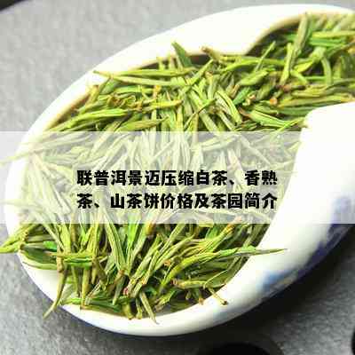 联普洱景迈压缩白茶、香熟茶、山茶饼价格及茶园简介