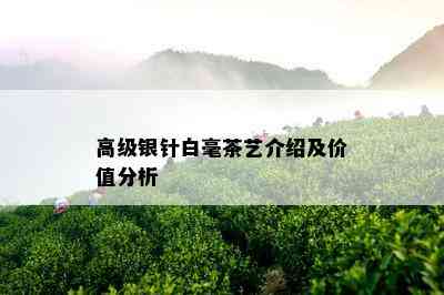 高级银针白毫茶艺介绍及价值分析