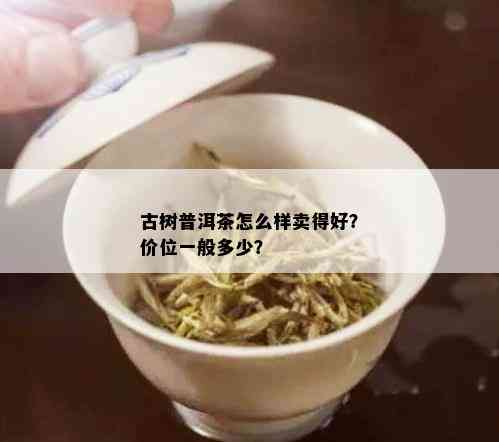 古树普洱茶怎么样卖得好？价位一般多少？