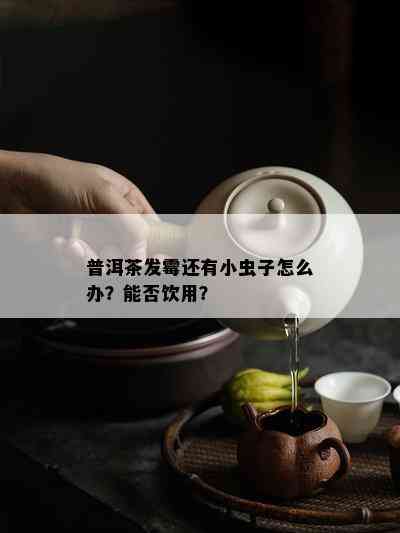 普洱茶发霉还有小虫子怎么办？能否饮用？