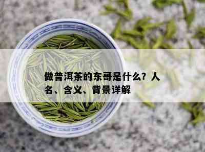 做普洱茶的东哥是什么？人名、含义、背景详解