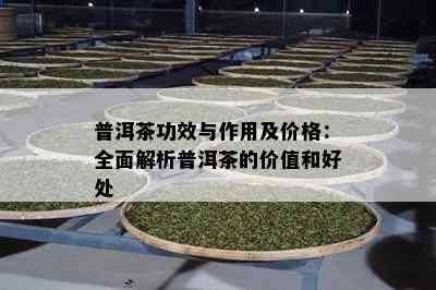 普洱茶功效与作用及价格：全面解析普洱茶的价值和好处