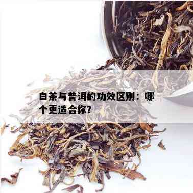 白茶与普洱的功效区别：哪个更适合你？