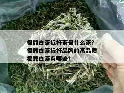 福鼎白茶标杆茶是什么茶？福鼎白茶标杆品牌的高品质福鼎白茶有哪些？