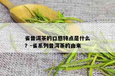 雀普洱茶的口感特点是什么？-雀系列普洱茶的由来