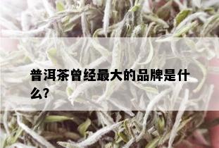 普洱茶曾经更大的品牌是什么？