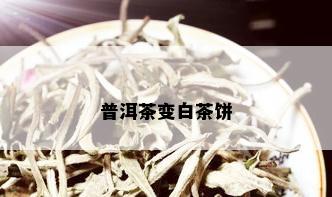 普洱茶变白茶饼