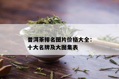 普洱茶排名图片价格大全：十大名牌及大图集表