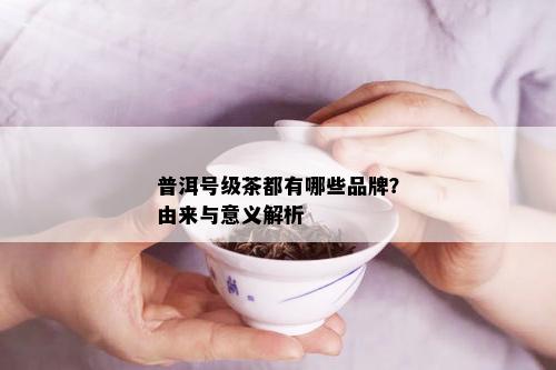 普洱号级茶都有哪些品牌？由来与意义解析