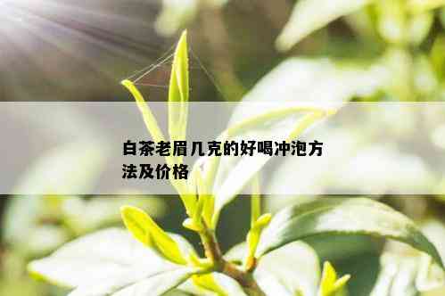 白茶老眉几克的好喝冲泡方法及价格