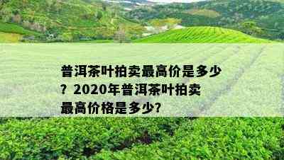 普洱茶叶拍卖更高价是多少？2020年普洱茶叶拍卖更高价格是多少？