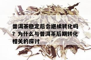 普洱茶稳定后会继续转化吗？为什么与普洱茶后期转化相关的探讨