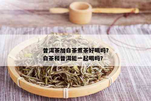 普洱茶加白茶煮茶好喝吗？白茶和普洱能一起喝吗？