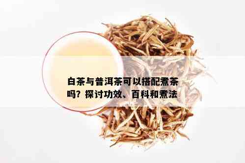 白茶与普洱茶可以搭配煮茶吗？探讨功效、百科和煮法