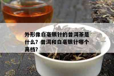 外形像白毫银针的普洱茶是什么？普洱和白毫银针哪个高档？