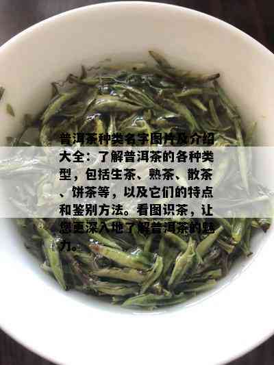 普洱茶种类名字图片及介绍大全：了解普洱茶的各种类型，包括生茶、熟茶、散茶、饼茶等，以及它们的特点和鉴别方法。看图识茶，让您更深入地了解普洱茶的魅力。