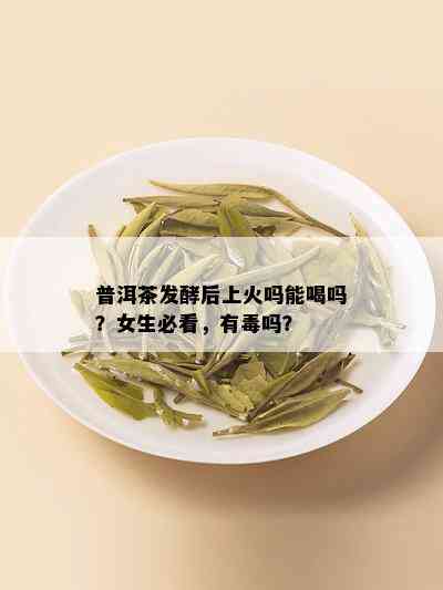 普洱茶发酵后上火吗能喝吗？女生必看，有吗？