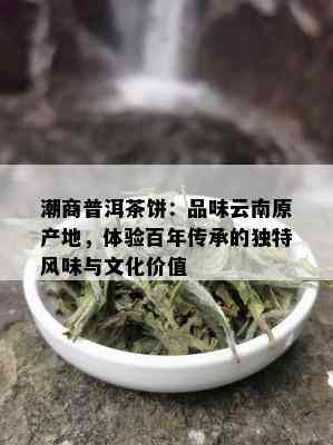 潮商普洱茶饼：品味云南原产地，体验百年传承的独特风味与文化价值