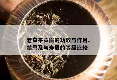 老白茶贡眉的功效与作用、禁忌及与寿眉的等级比较